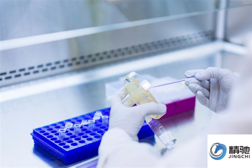 臨床試驗中細胞毒性藥物的回收：安全處理指南